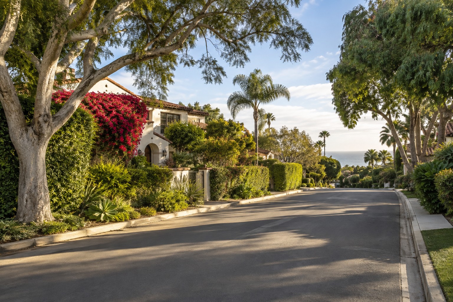 A tree-lined La Jolla residential street, illustrative