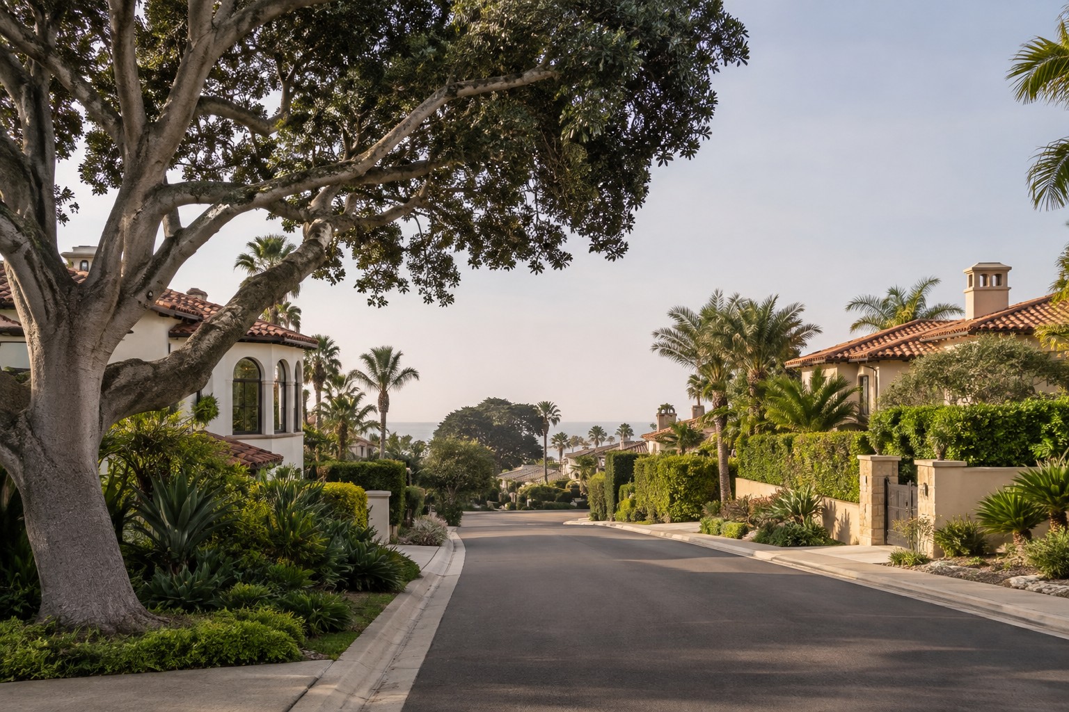 A quiet La Jolla residential street, illustrative